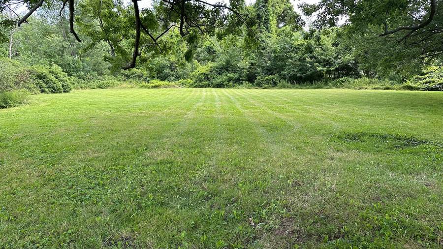 Acreage lawn mowed and striped in Alden, NY