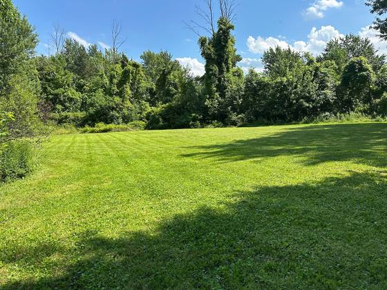 Maintained backyard lawn on a residential property in Clarence, NY