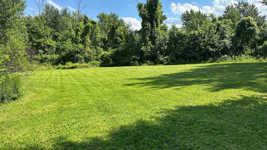 Property line treeline maintained in Newstead, NY