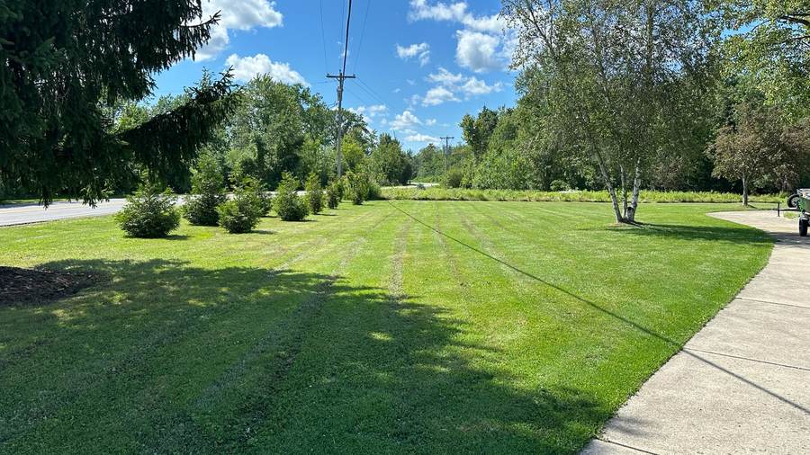 Mowing stripes along a driveway on a rural Akron, NY property