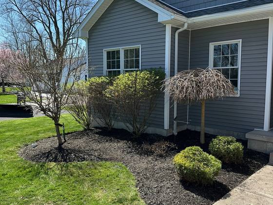 Freshly cleaned and mulched corner bed in Akron, NY