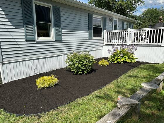 Freshly mulched landscape bed with new shrubs along a home in Clarence, NY