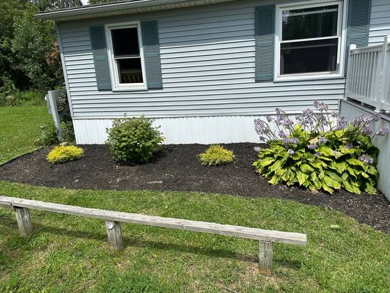 Mulched front bed with new plantings in Clarence, NY