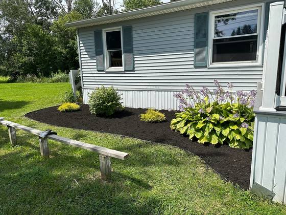 Mulched foundation bed with hostas along a home in Clarence, NY