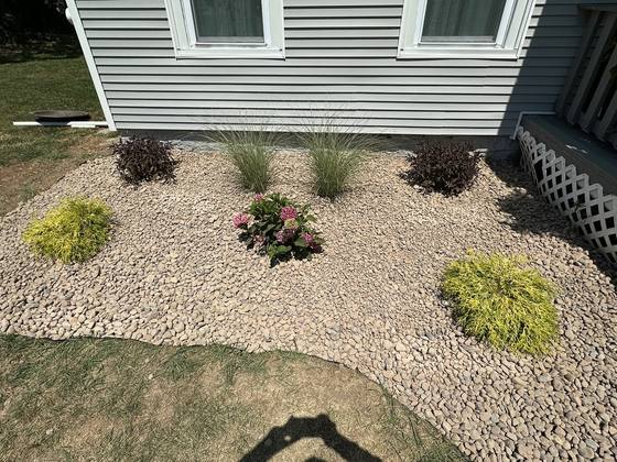 Stone bed with flowering annuals and shrubs in Clarence, NY